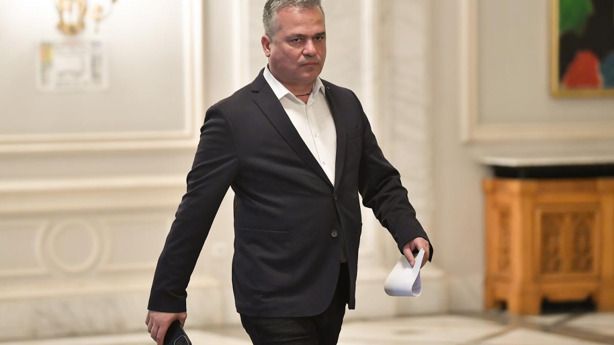 Adrian Vestea Eforturi guvernamentale pentru o administratie eficienta