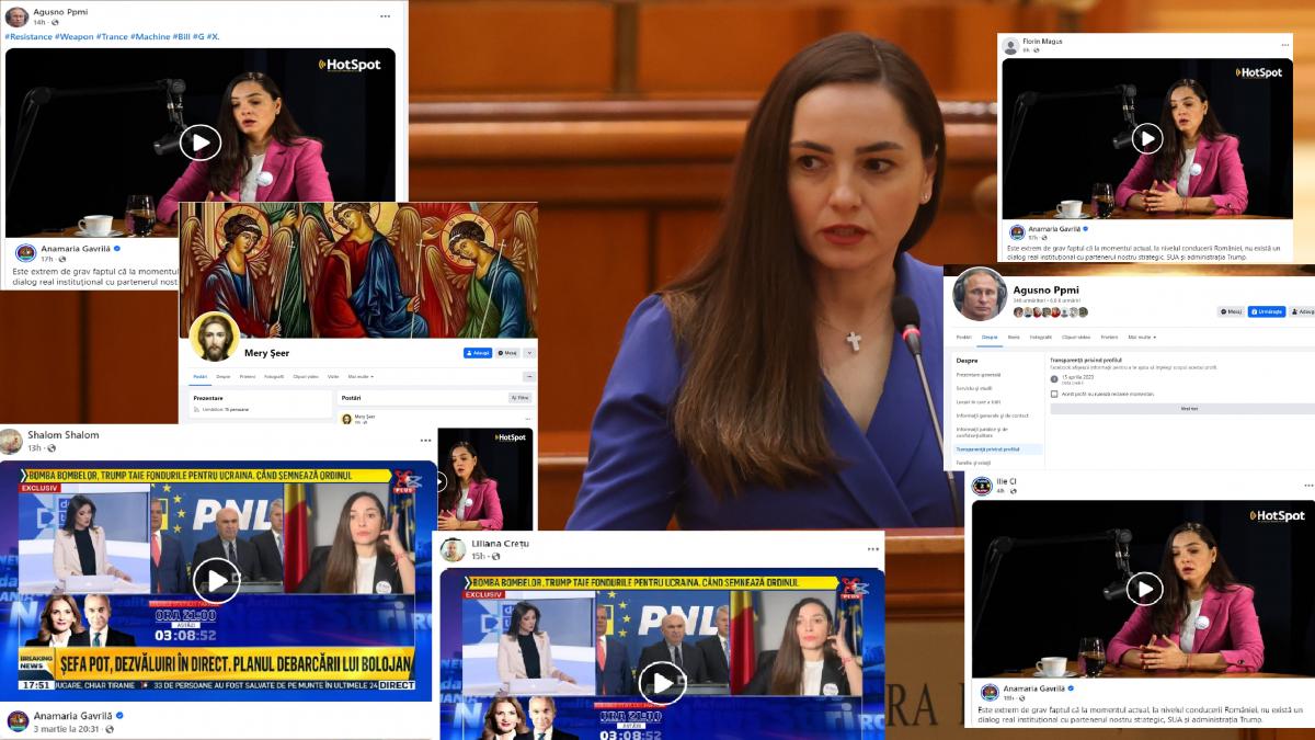 Am gasit boti la POT cum functioneaza armata de conturi false ale deputatei Anamaria Gavrila