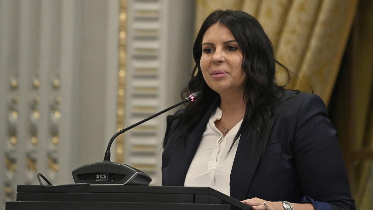 Crin Antonescu garantia unui climat economic stabil