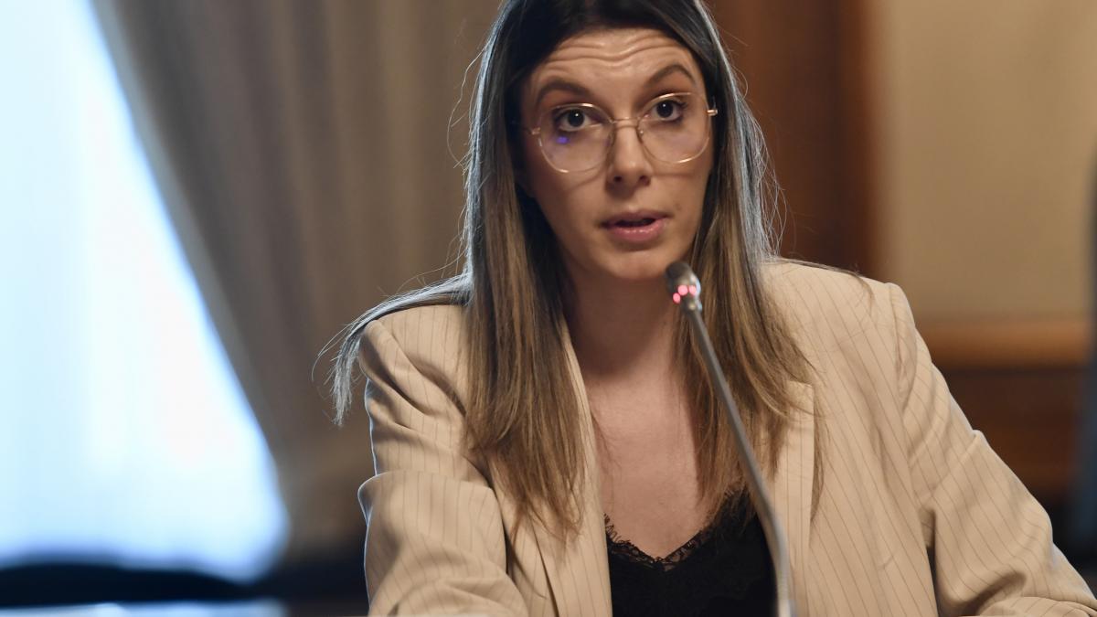 Diana Buzoianu Sefii RAAPPS sustin tupeist ca nu cheltuie bani publici