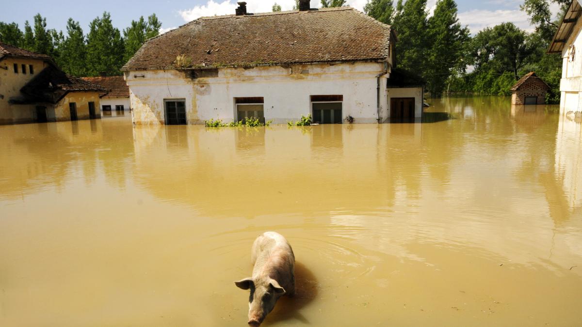 Mircea Dinescu a aflat de la Victor Ponta ca i a inundat casa