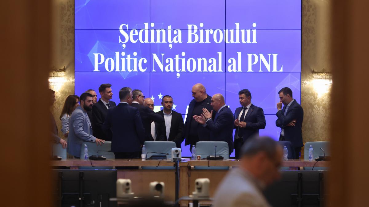 Guvernul Bolojan este pregatit Romania va avea 5 vicepremieri