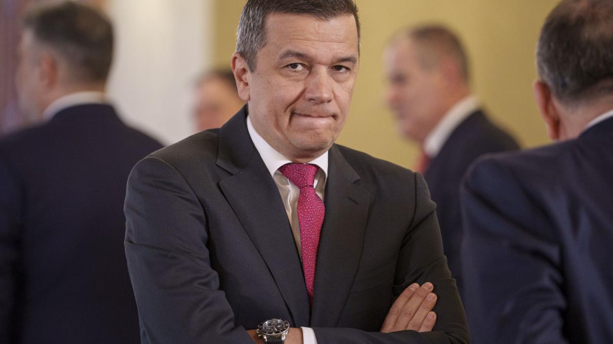 STENOGRAME Discutiile liderilor PSD despre Nicusor Dan