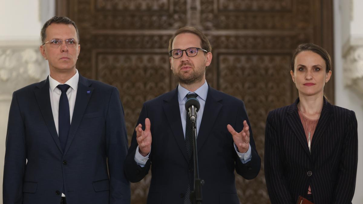 Surse Oana Toiu la Externe cine e ministrul Apararii