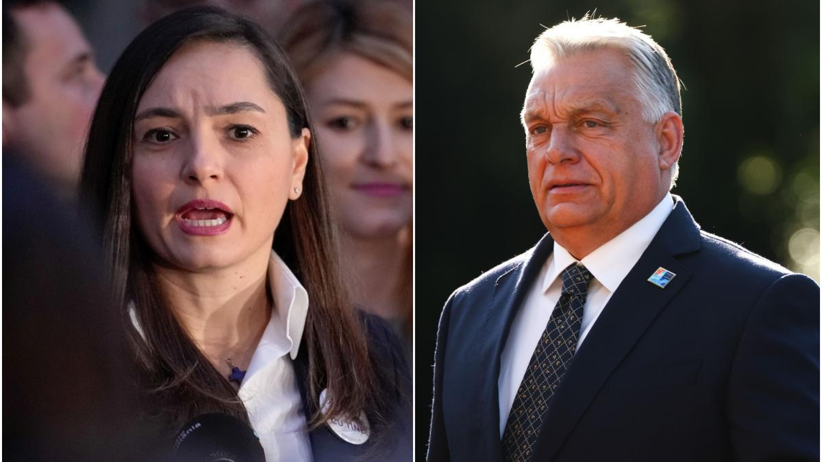 Anamaria Gavrila mesaj dur pentru Viktor Orban Ce a postat sefa POT pe Facebook