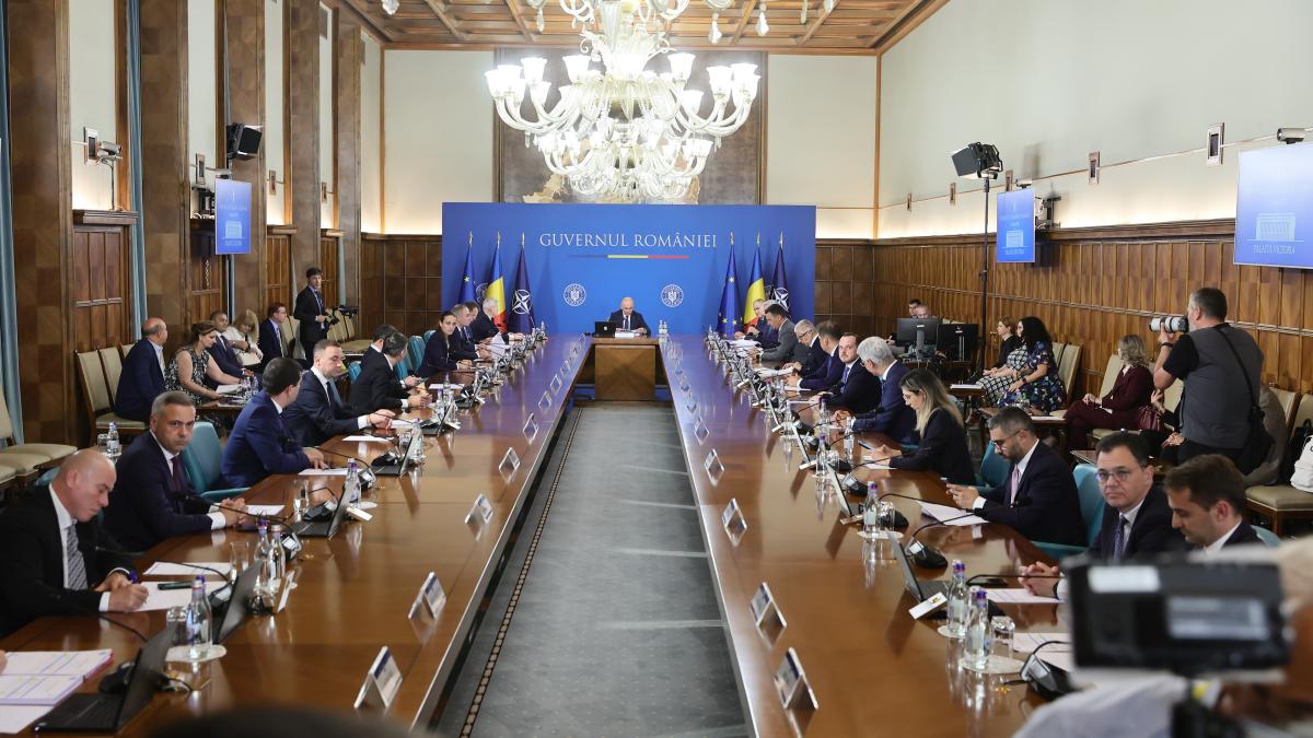 Consultantii privati asteapta Guvernul sa reformeze companiile de stat