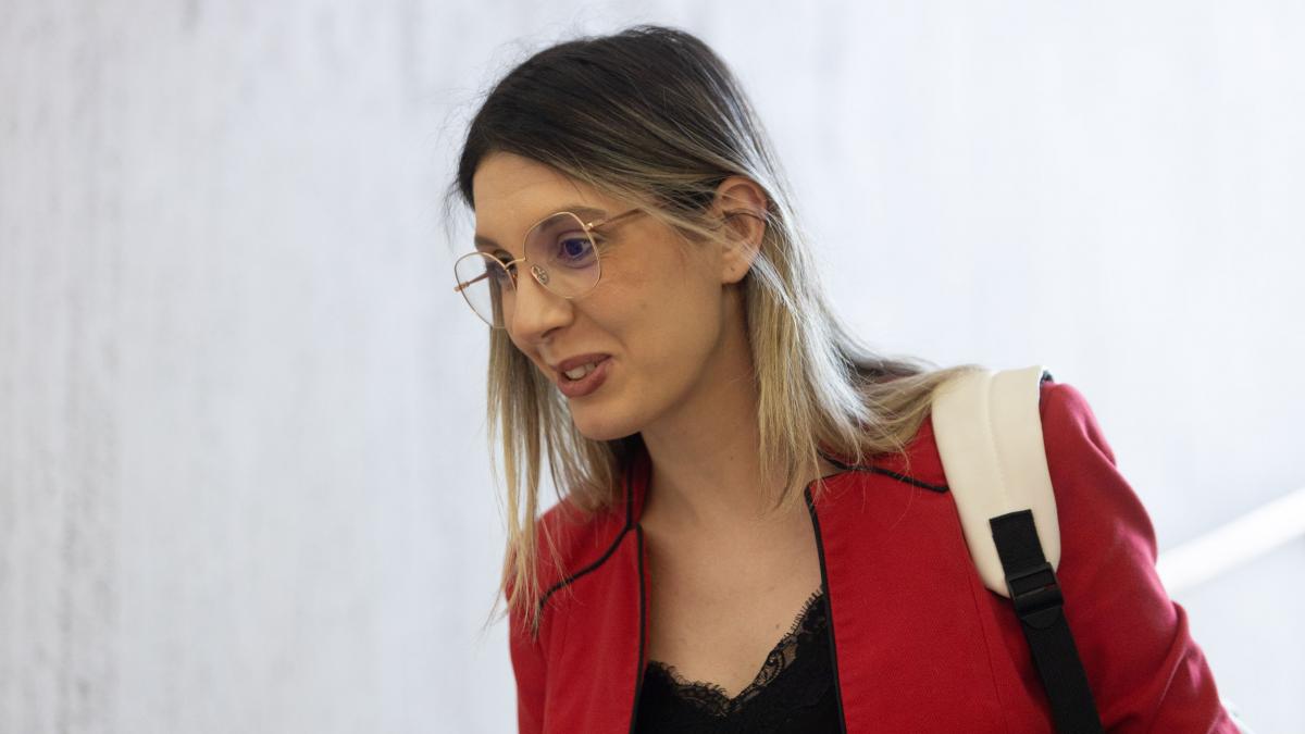 Diana Buzoianu despre frontierele dintre ministere in aceeasi cladire