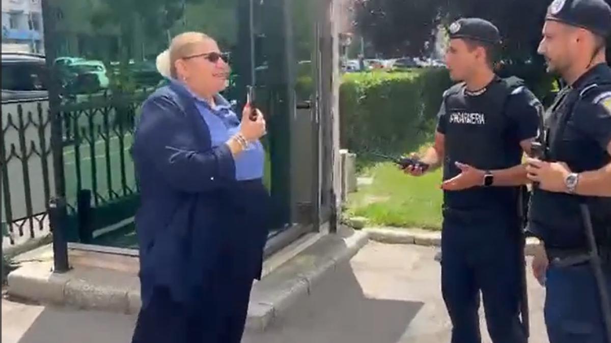 La Guvern Diana Soshoaca s a certat cu jandarmii despre filmare