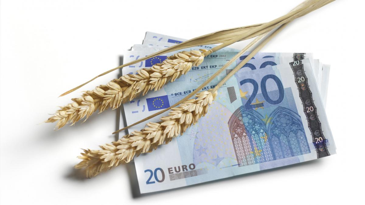 Ministrul Florin Barbu propune exceptarea sporurilor agricole