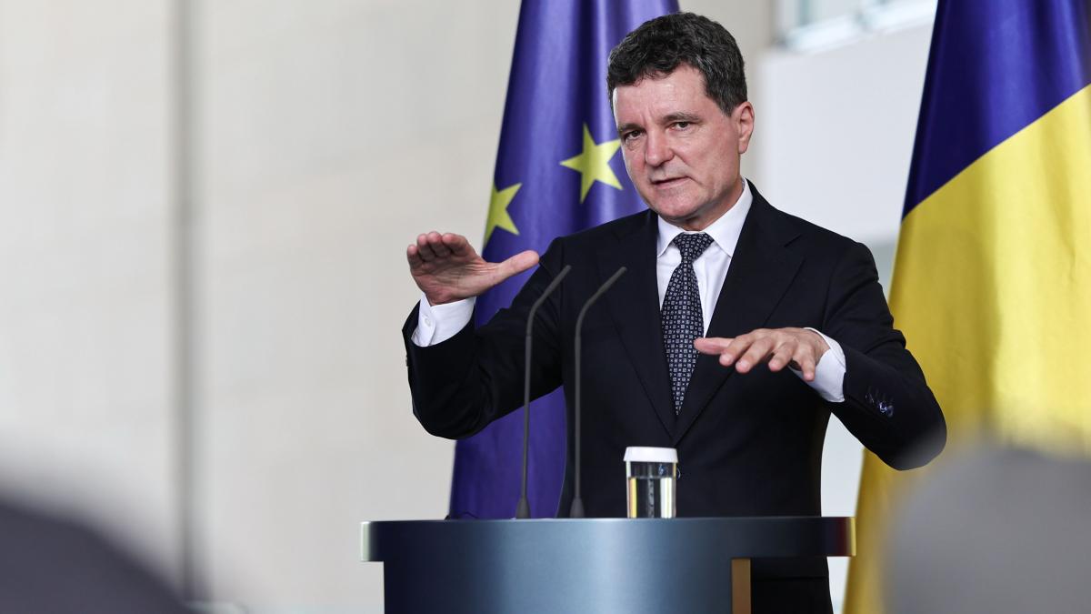 Nicusor Dan la afaceristii din Austria Romania revine la un sistem fiscal previzibil