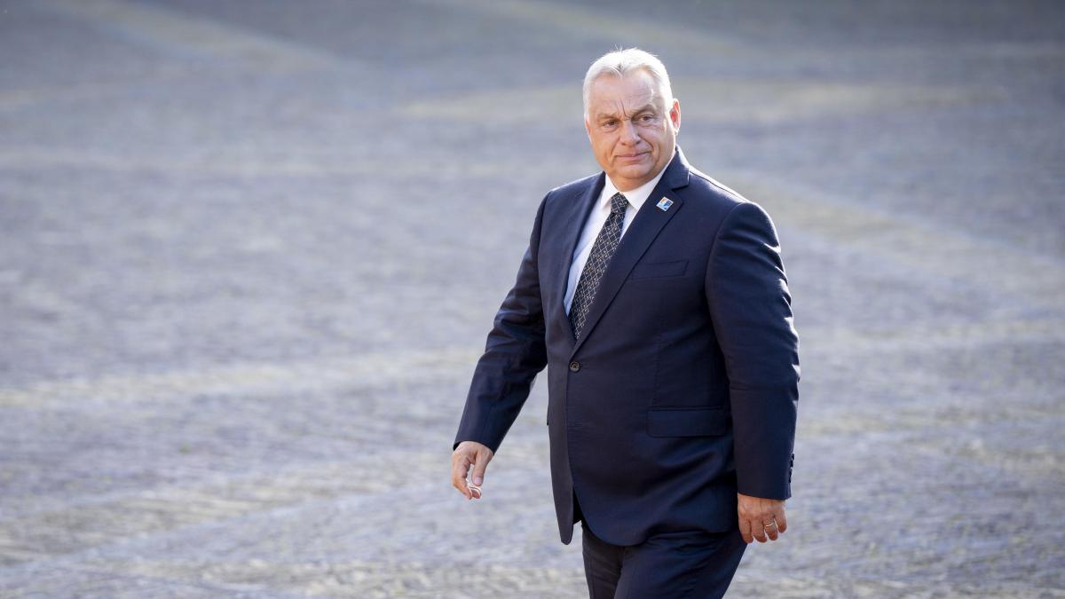 Viktor Orban se va intalni cu Bolojan inainte de Tusnad