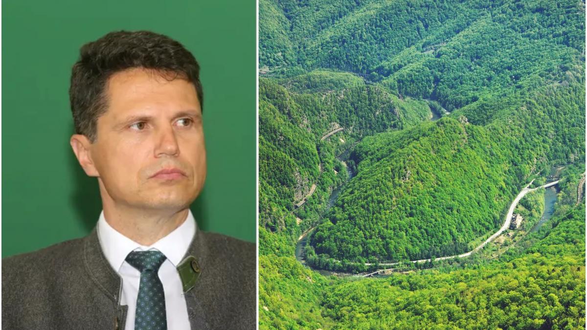 Milionarul de la Romsilva Danut Apostu om de afaceri