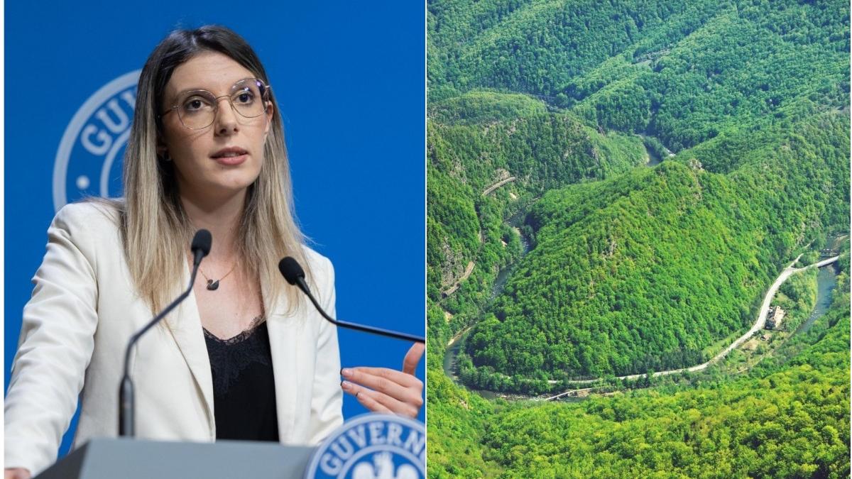 Scandal Romsilva Diana Buzoianu Acuzatii privind PNRR