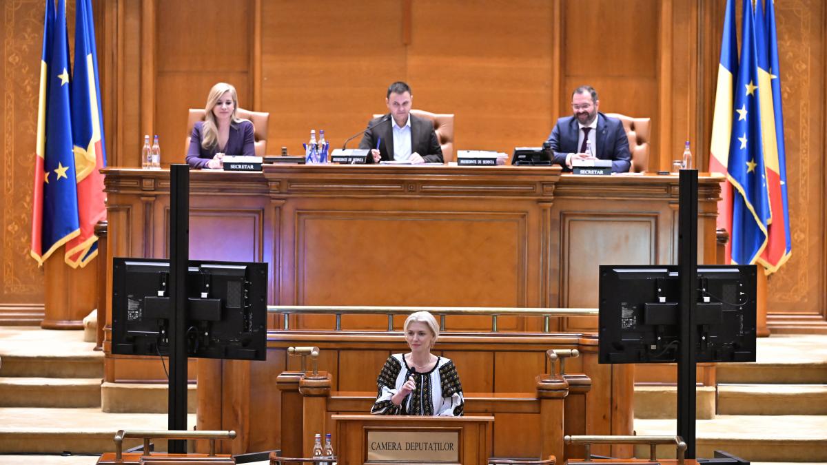 Comisie speciala Romania fara violenta in Parlament 39 de femicide in 2025