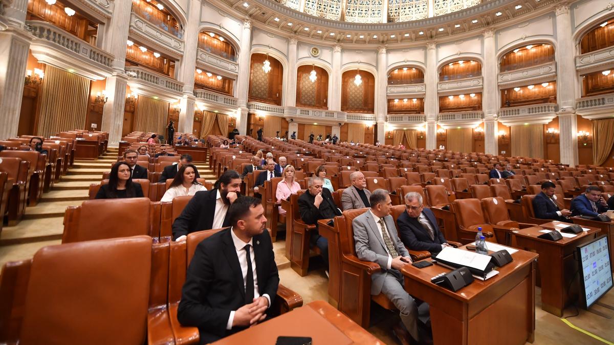 Deputatii vor primi lunar un euro pentru telefonie mobila