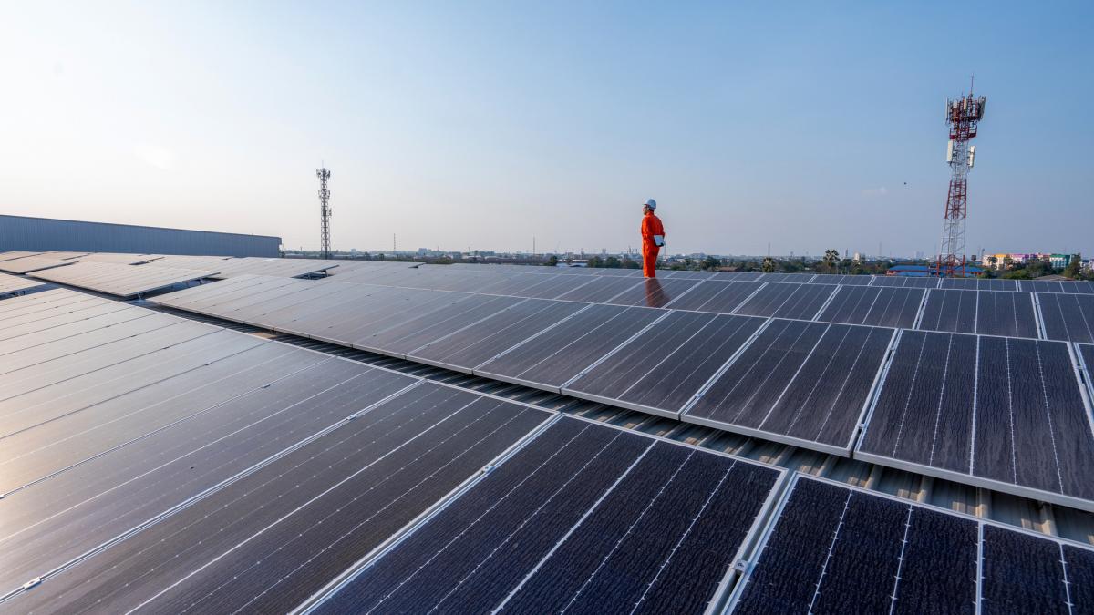 Diana Buzoianu Parc fotovoltaic cu 8 ori mai putin cost