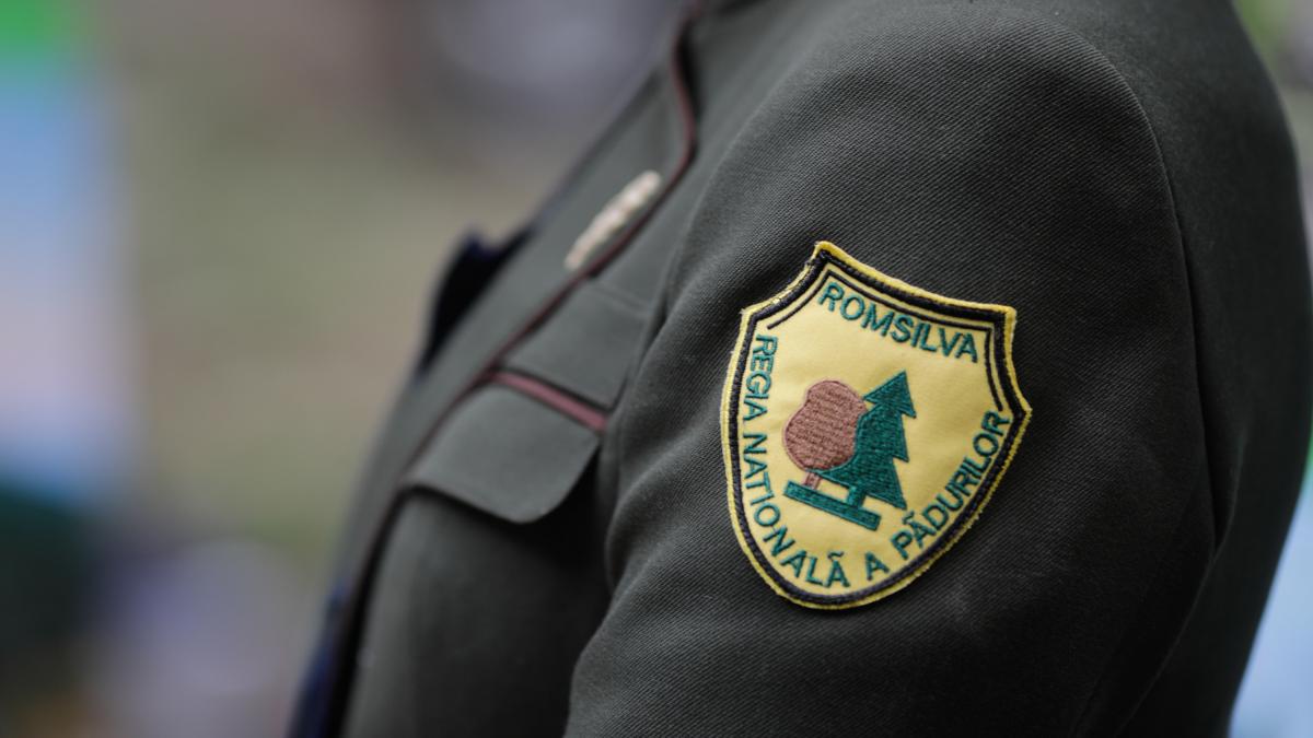 Diana Buzoianu anunta avize pentru reforma Romsilva