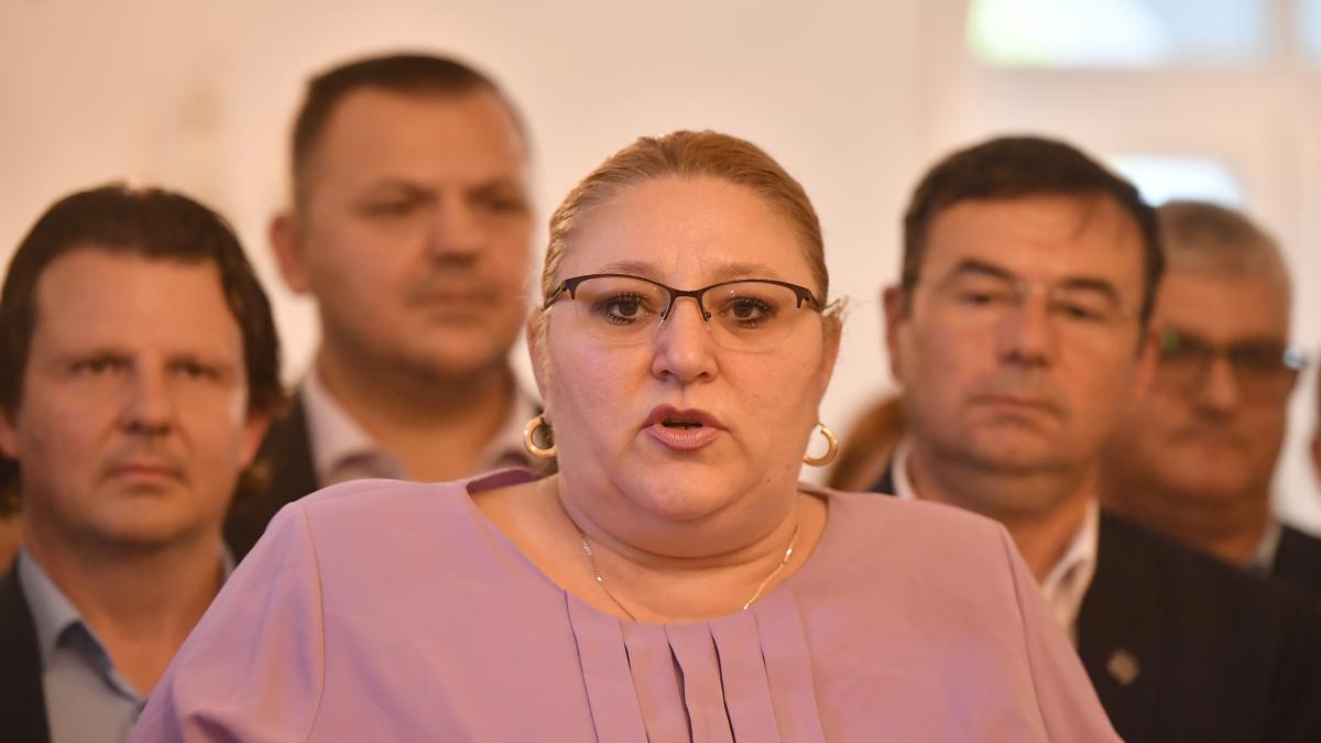 Diana Sosoaca invitata la Russia Today se plange de dosar