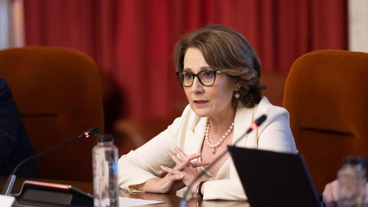 Senatoarea Nicoleta Pauliuc atac la opozitie AUR SOS si POT apara privilegiile