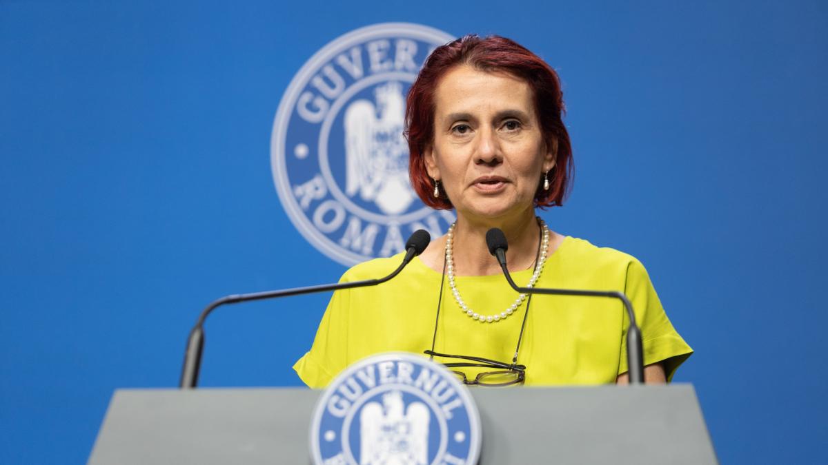Ioana Dogioiu Guvernul asteapta motivarea CCR pentru pensii1761220042