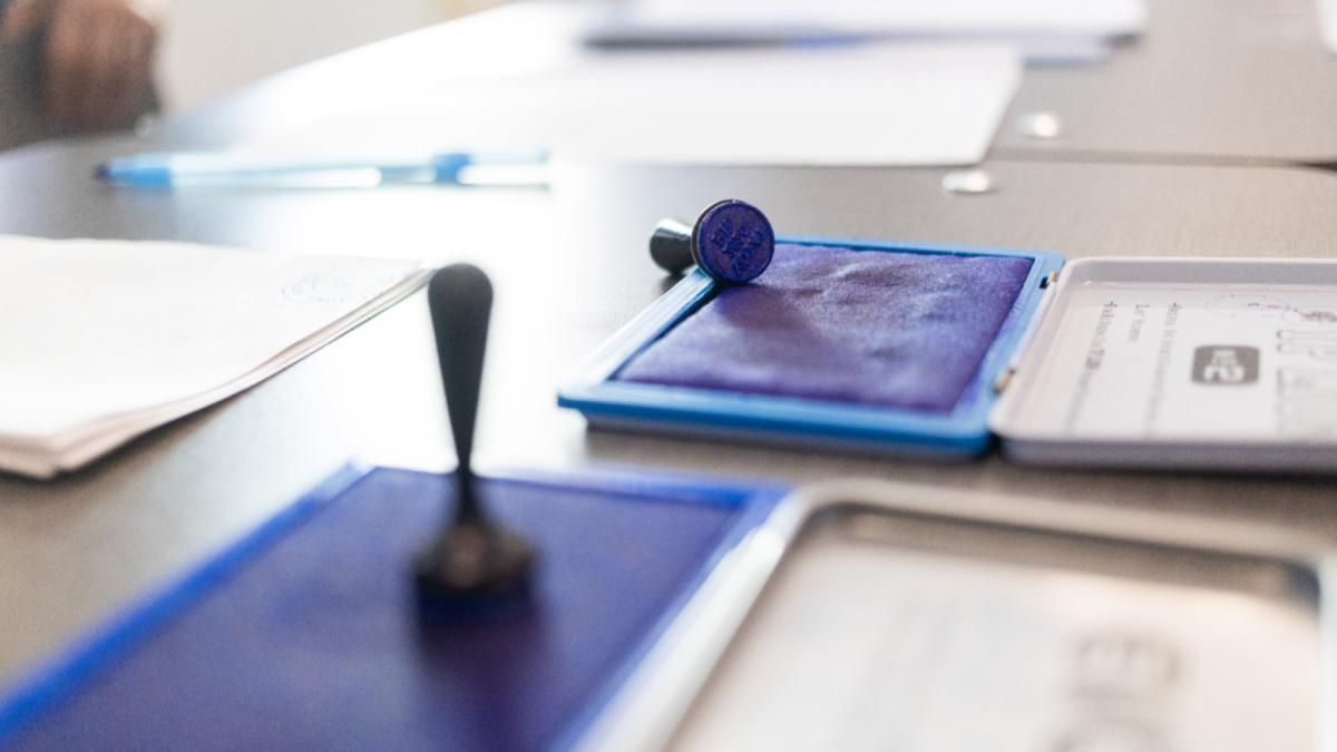 51 dintre cei cu educatie primara ar vota AUR1762954938