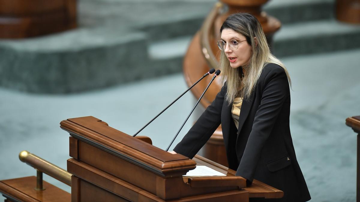 Diana Buzoianu nu demisioneaza Nu sunt vinovata1765897246