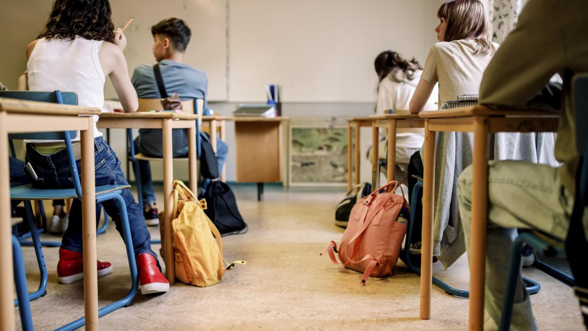 Ministerul Educatiei introduce doua optionale pentru gimnaziu1766421559