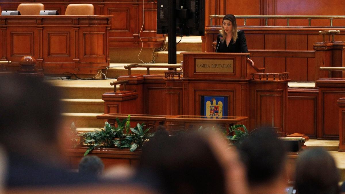 Scandal la audierea ministrului Mediului pe criza Paltinu1765210013