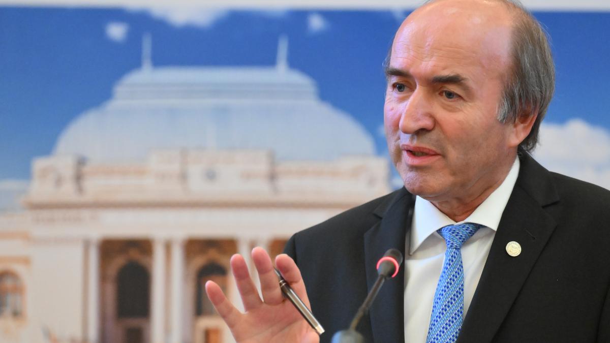Tudorel Toader Preedintele n a inca lcat separatia puterilor1766355561