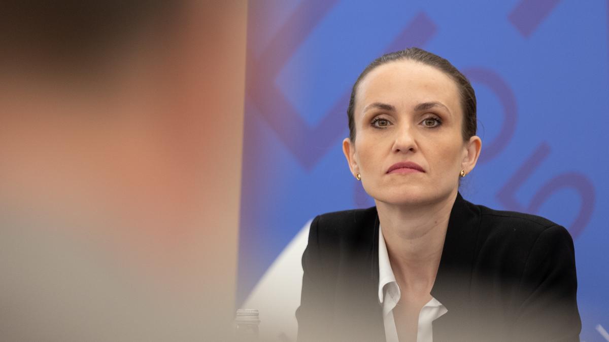 Grupul PACE Romnia are o motiune simpla impotriva Oanei Toiu1768045713