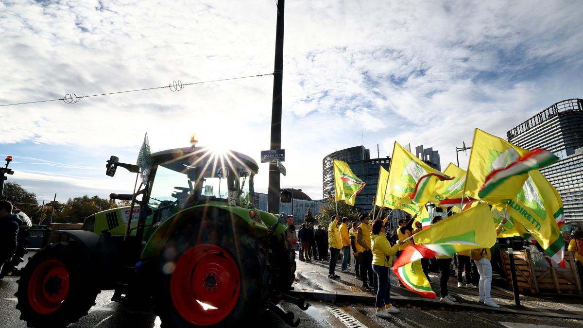 Ministrul Agriculturii cere garantii suplimentare UE Mercosur1767953314