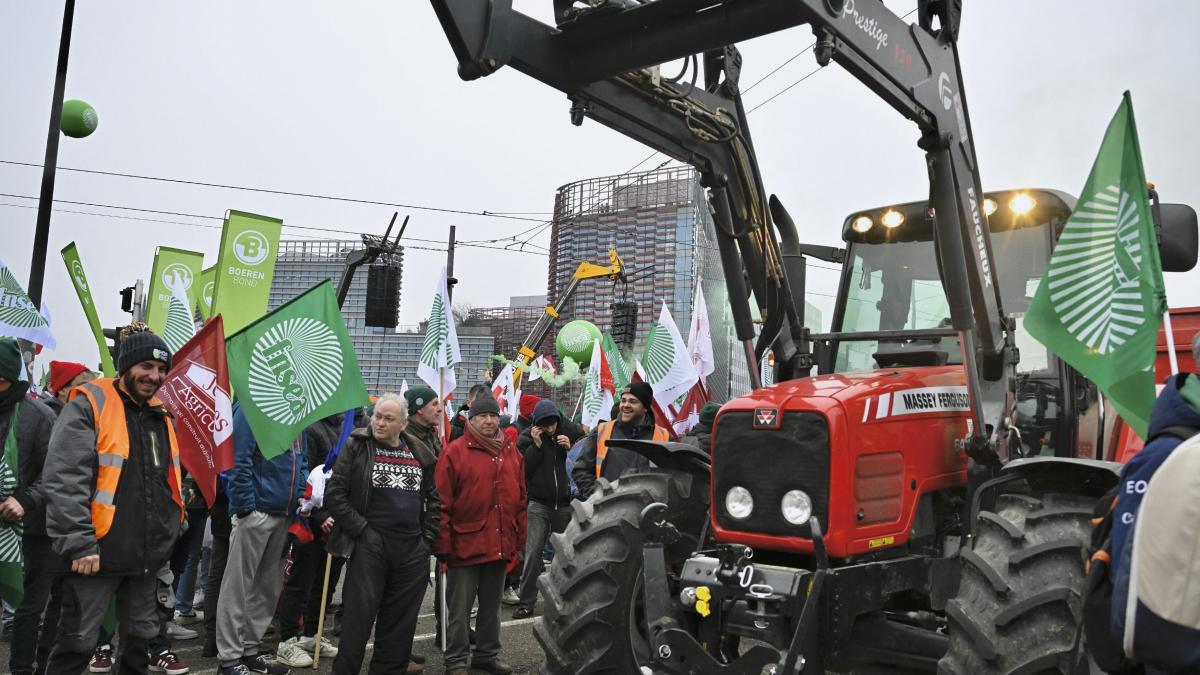 PUSL saluta suspendarea acordului UE Mercosur Deciziile care influenteaza milioane de oameni1769004528