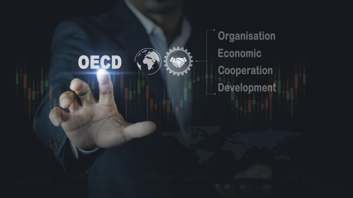 Ministerul Finantelor Romania finalizeaza cu succes evaluarea in cadrul Comitetului OCDE pentru Afaceri1770655058