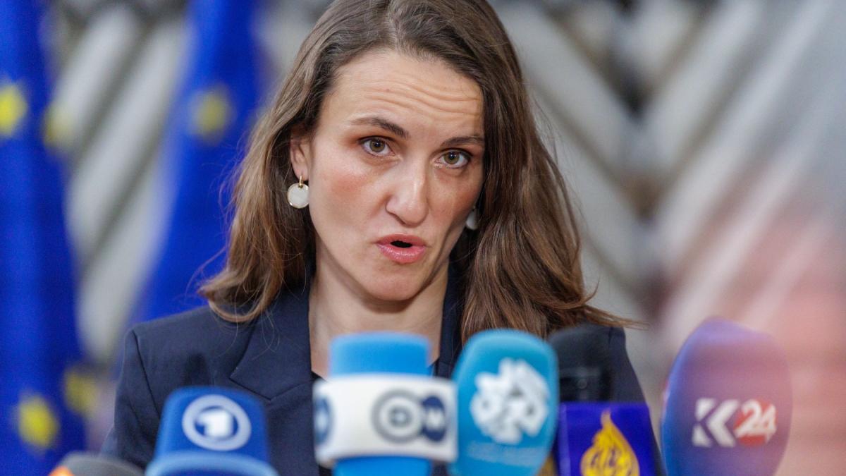 MotIunea impotriva Oanei Toiu a fost respinsA in Senat Au incercat sa faca auzita vocea lor impotriva Romaniei sa1771870085