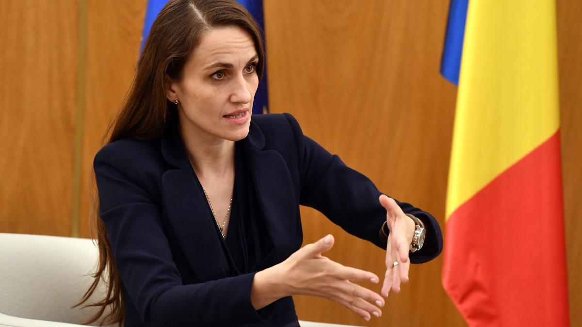 Oana Toiu a lansat Presedintia Romaniei la Initiativa Central Europeana Este acasa pentru 1601772174261