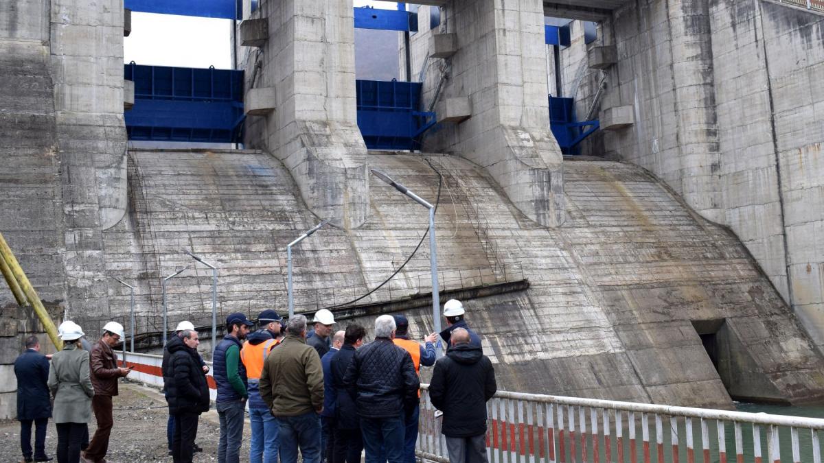 Diana Buzoianu convocata de PSD in Parlament pentru a explica blocarea lucrarilor la Barajul Mihaileni1772449675