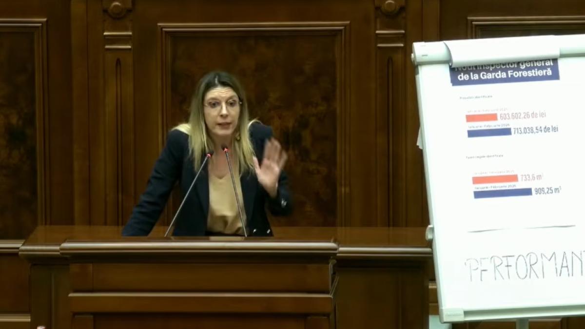 Motunea simpla impotriva Dianei Buzoianu a fost respinsa PSD s a abtinut de la vot Bolojan a fost absent Schimbare drastica de1774884457
