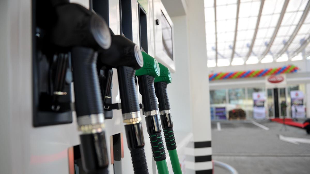 PSD nu poate fi ca un ficus in coalitie Grindeanu afirma ca se roaga de Bolojan sa1773616647