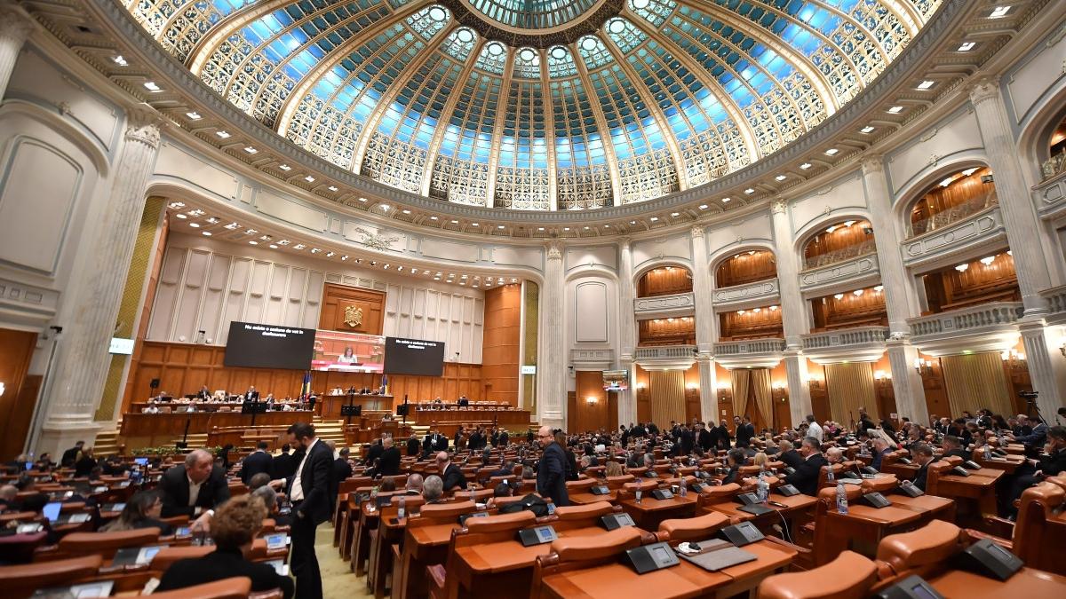 Senat Copiii cu nevoi speciale vor beneficia de masa calda sau pachet alimentar in loc de allocatie de1774286866