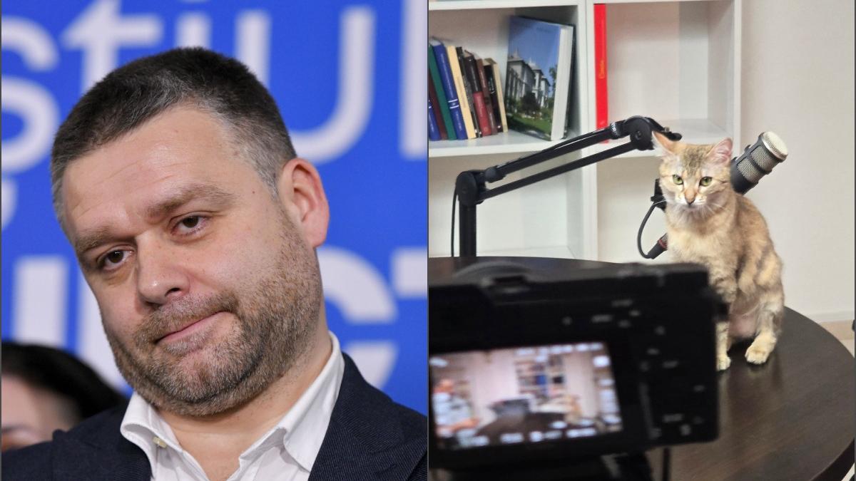 ciucu anunta ca va lansa un podcast nu ma lasa sa ma scalambai trei secunde pe tiktok pentru a cultiva ura1773429459