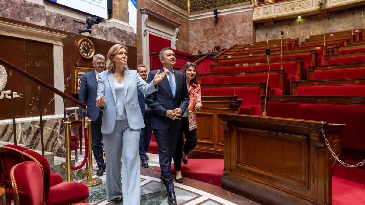 Anuntul lui Grindeanu dupa intalnirea cu presedinta Adunarii Nationale a Frantei Imi doresc1777462213