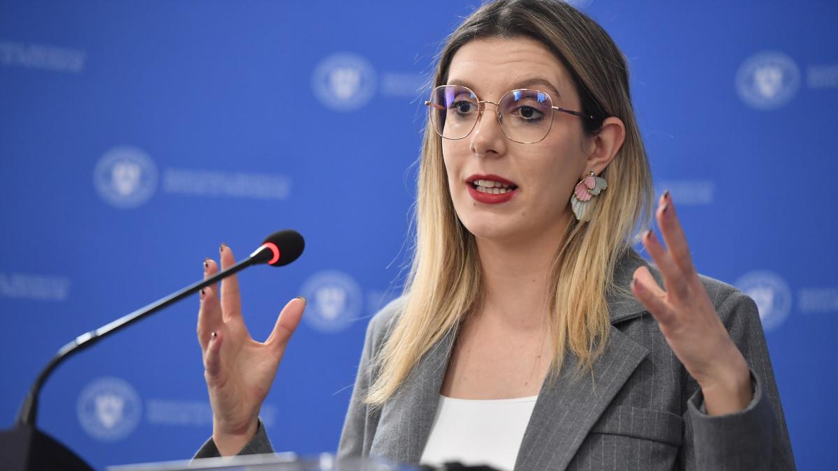 Diana Buzoianu anunta ca instanta a respins suspendarea reorganizarii Romsilva Continuam reforma1777466369