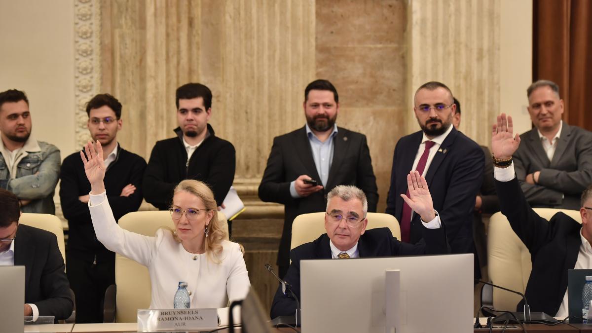 PSD si AUR au votat amendamentul lui Peiu pentru vanzarea actiunilor companiilor de stat doar1777416575