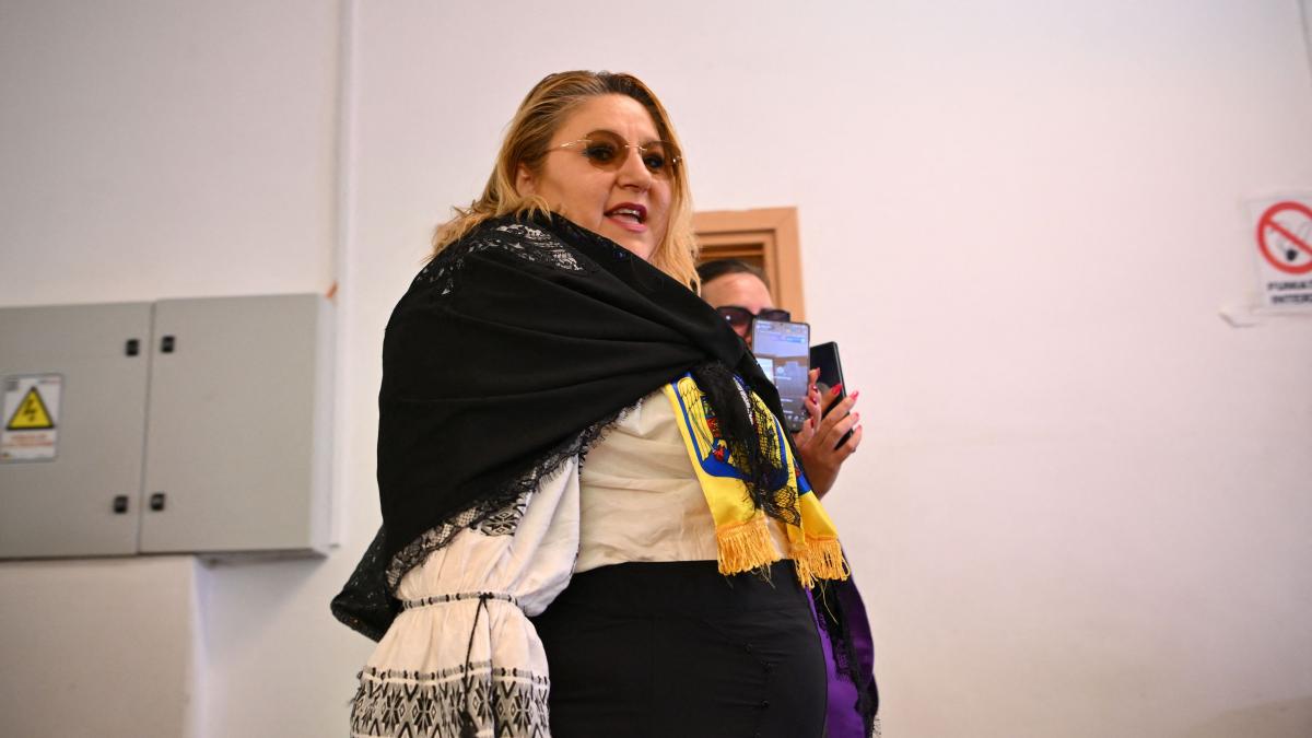 Parlamentul European a votat pentru ridicarea imunitatii Dianei Sosocasa acuzata de 11 infractiuni1777413593