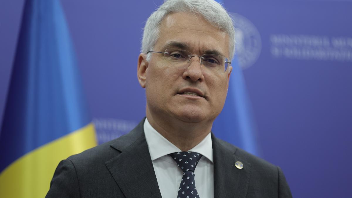 Dragos Pislaru Analizele privind atingerea jaloanelor si obiectivelor pentru cererea de plata nr1777925979