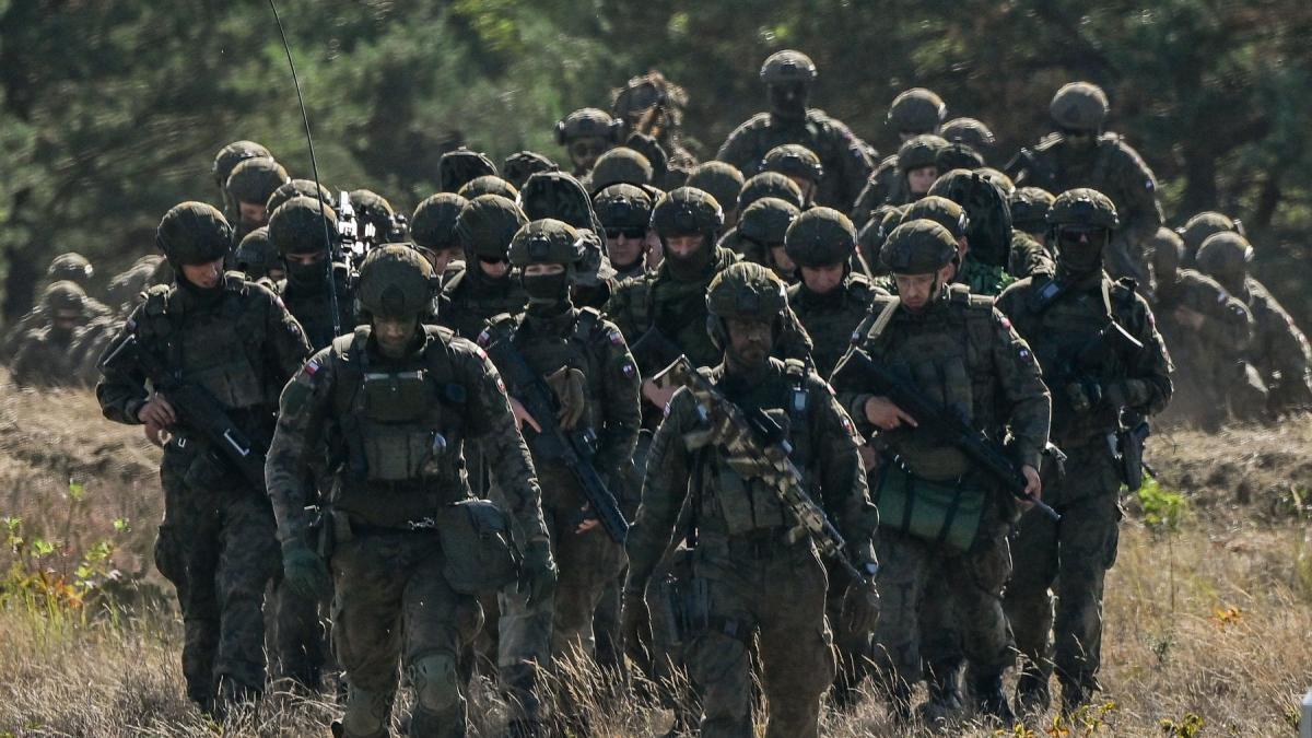 Nicusr Dan Retragerea a 5000 de soldati americani din Germania nu este o surpriza Europa poate1777905008