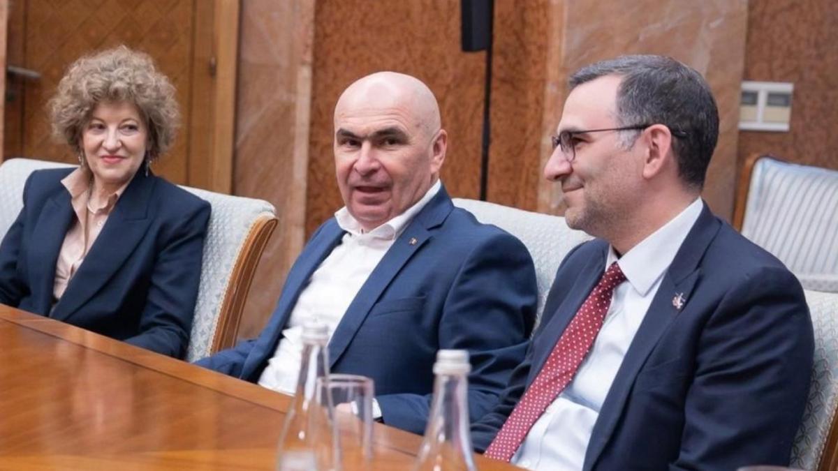 O firma de avocatura din Germania unde activeaza consilierul Oanei Gheorghiu ar fi receput fonduri pentru1779129667