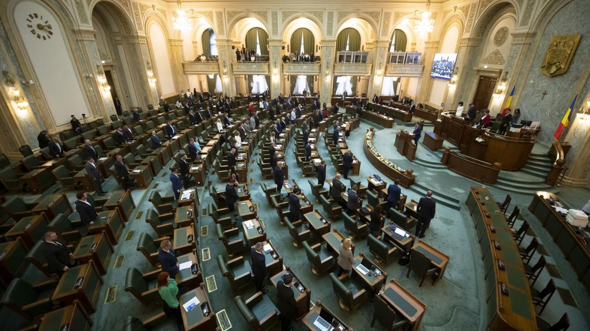 Senatul impune ONG-urilor să-și facă publice sursele de finanțare. Proiectul AUR a fost aprobat de plen. 2 Senatul impune ONG urilor sa si faca publice sursele de finantare Proiectul AUR a fost aprobat de plen1779134127