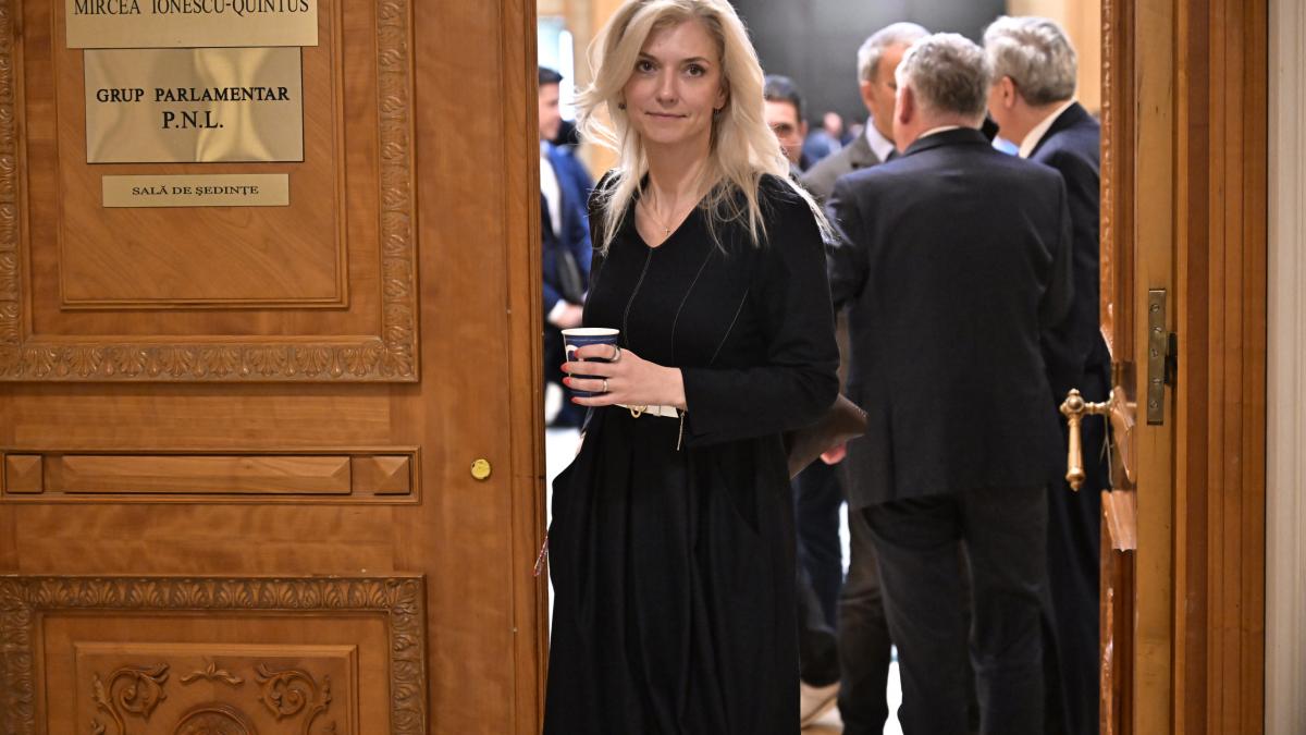 PNL susține că dosarul prin care se solicită anularea Congresului a fost alocat unei foste colaboratoare... 2 PNL sustine ca dosarul prin care se solicita anularea Congresului a fost alocat unei foste colaboratoare1782926201