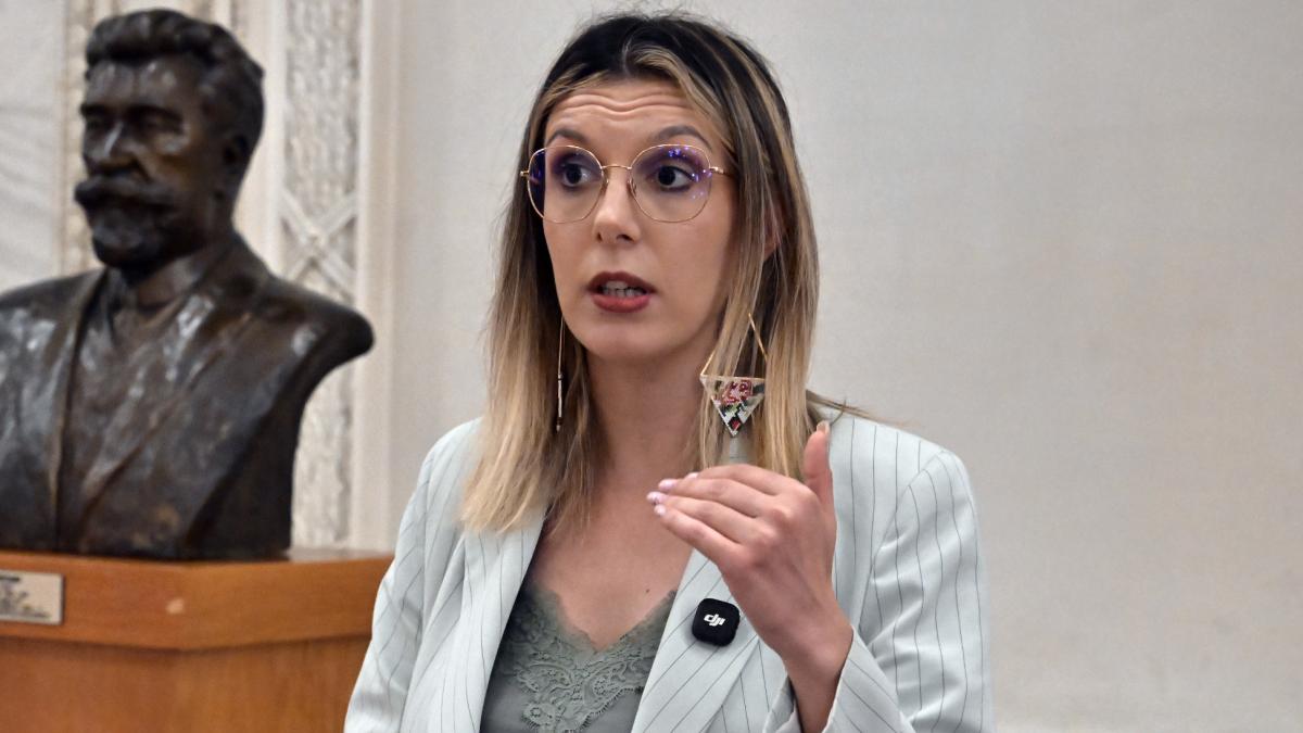 Buzoianu acuza Romsilva In noul contract colectiv de munca s a stipulat ca va furniza masini pentru1786612499